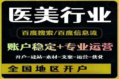 大型SEM服务公司案例分析